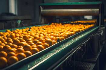 Citrus in productie