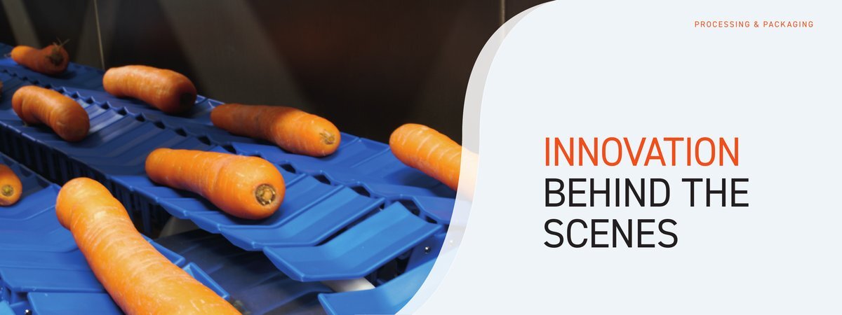 Carrots at blue belt
