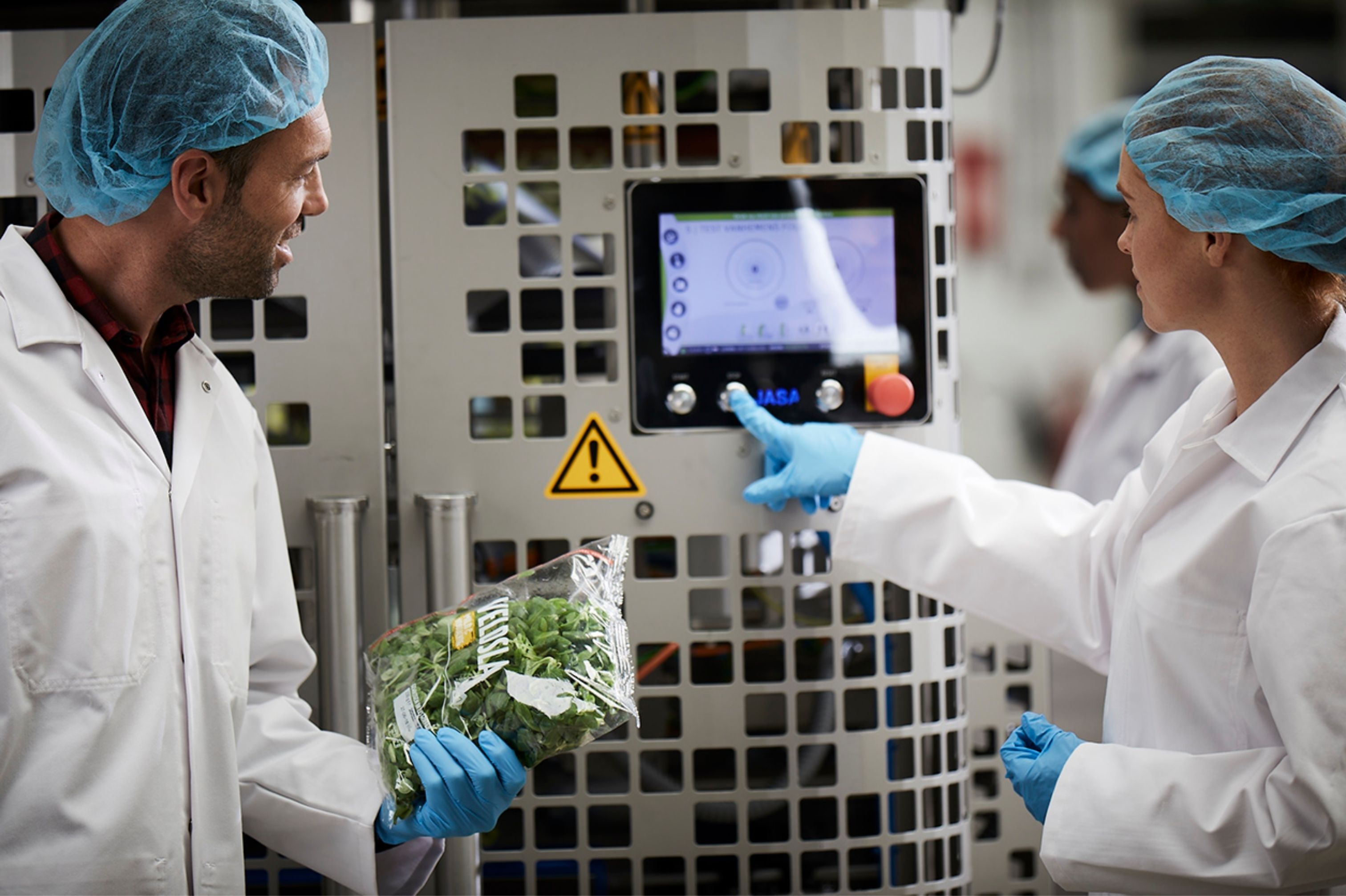 Operators controleren bladgroenten bij een geautomatiseerde weeg- en verpakkingslijn in een CEA leafy greens productieomgeving